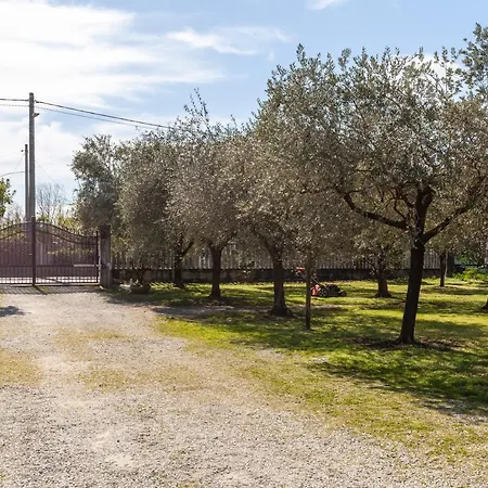 Casina Del Glicine Massa (Tuscany)