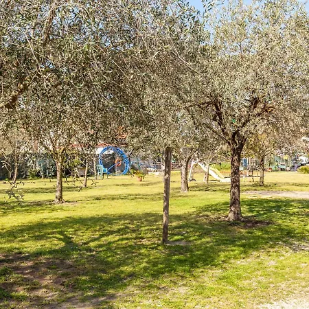 Casina Del Glicine 別荘 *