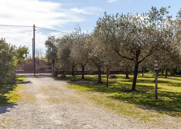 Casina Del Glicine マッサ